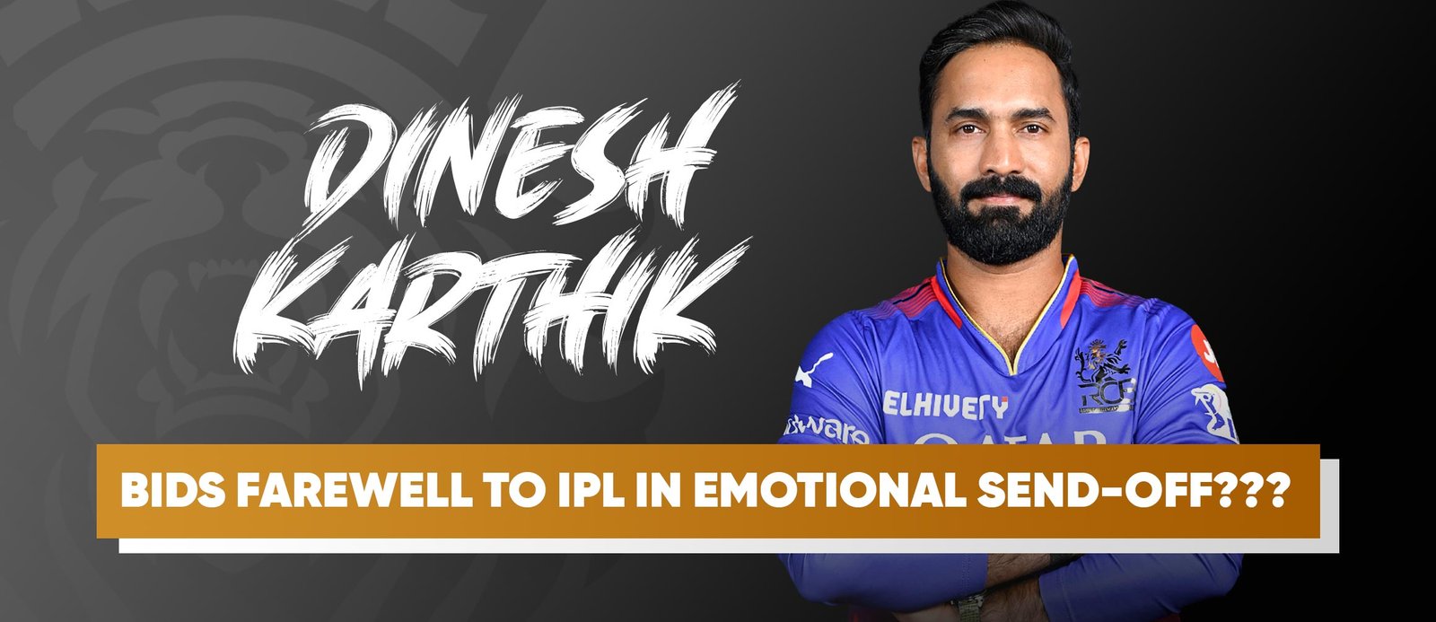 Dinesh Karthik Bids Farewell to IPL in Emotional Send-Off???