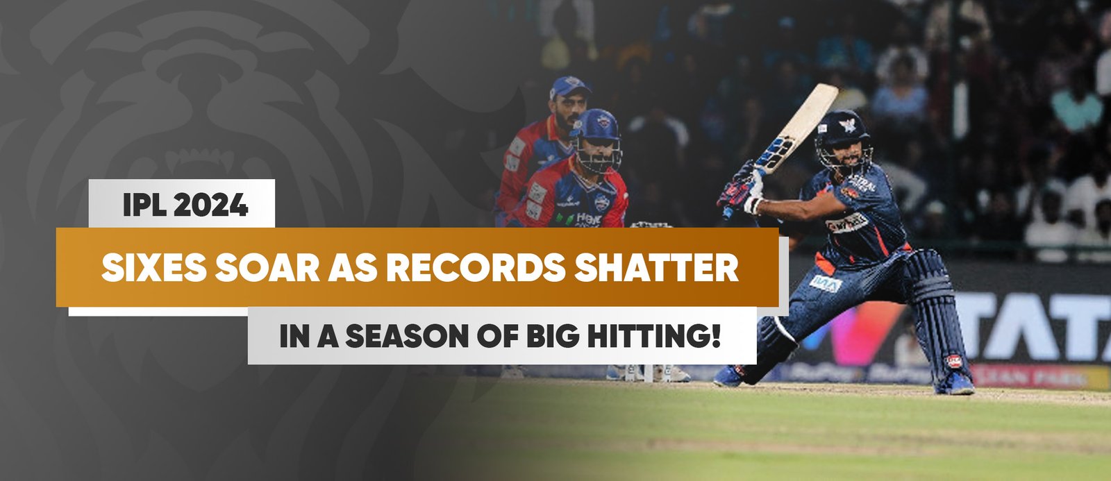 IPL 2024: Sixes Soar as Records Shatter in a Season of Big Hitting!