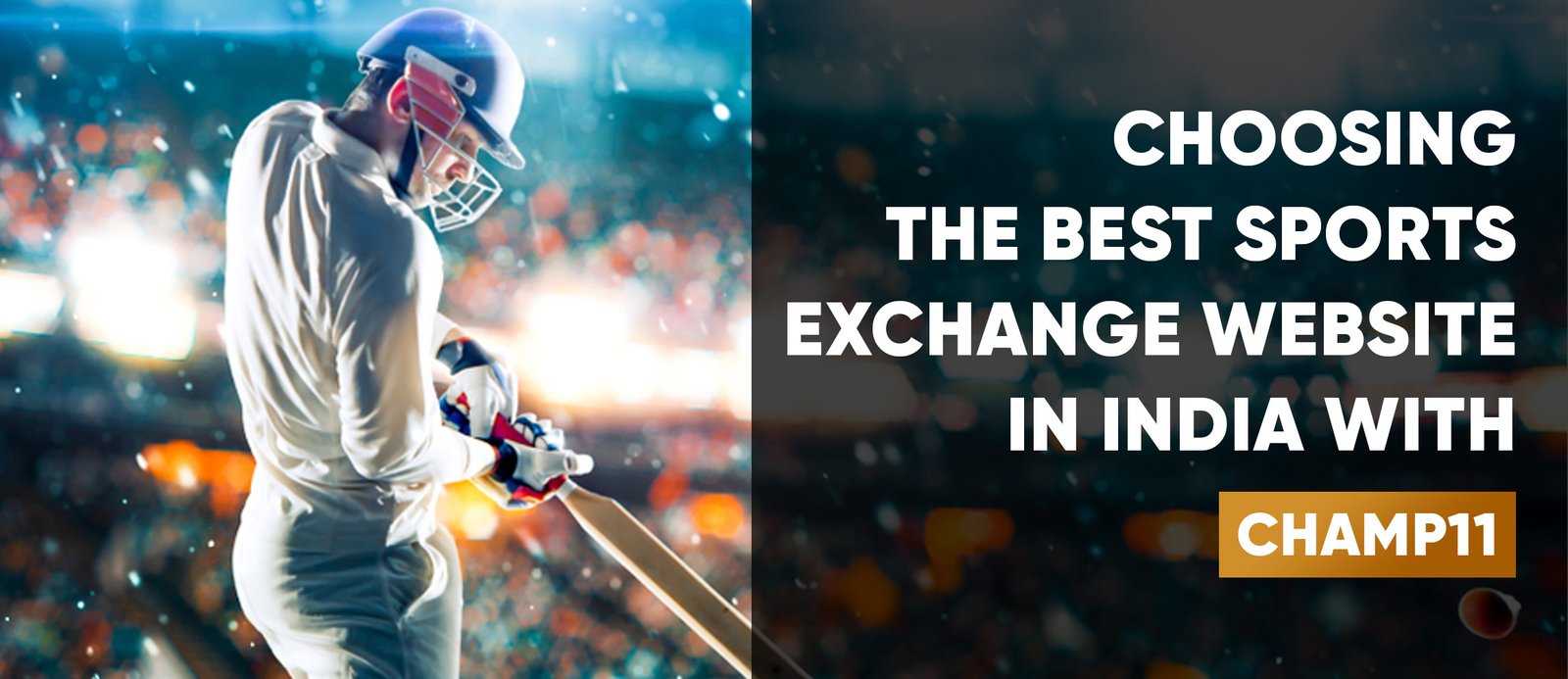 Choosing the Best Sports Exchange Website in India with Champ11