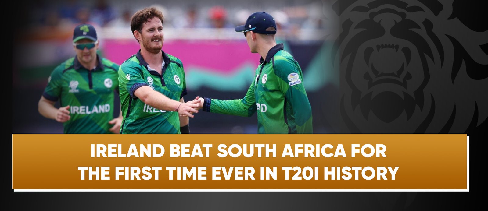 Ireland Beat South Africa For the First Time Ever in T20I History